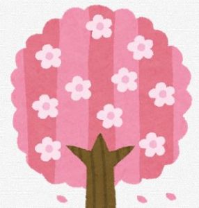桜名所の淡墨桜をライブカメラでお花見しませんか!?